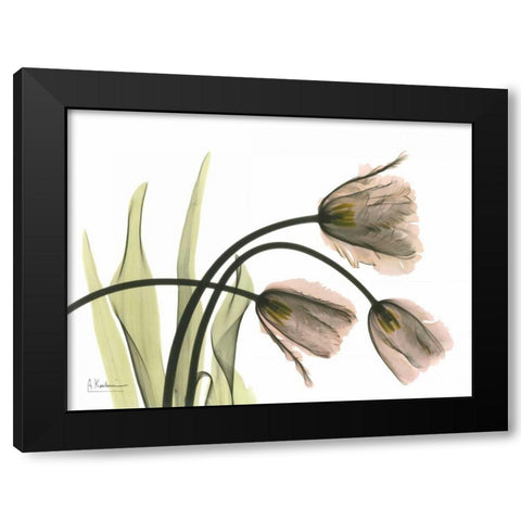 Tulips in the Wild Black Modern Wood Framed Art Print with Double Matting by Koetsier, Albert