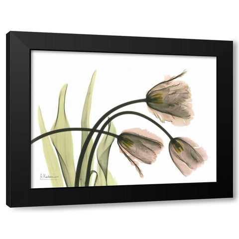 Tulips in the Wild Black Modern Wood Framed Art Print by Koetsier, Albert