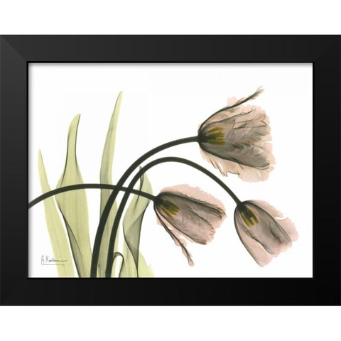 Tulips in the Wild Black Modern Wood Framed Art Print by Koetsier, Albert