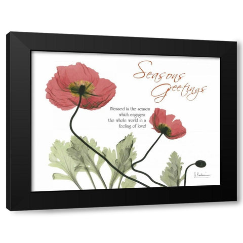 Iceland Poppies Seasons Black Modern Wood Framed Art Print with Double Matting by Koetsier, Albert