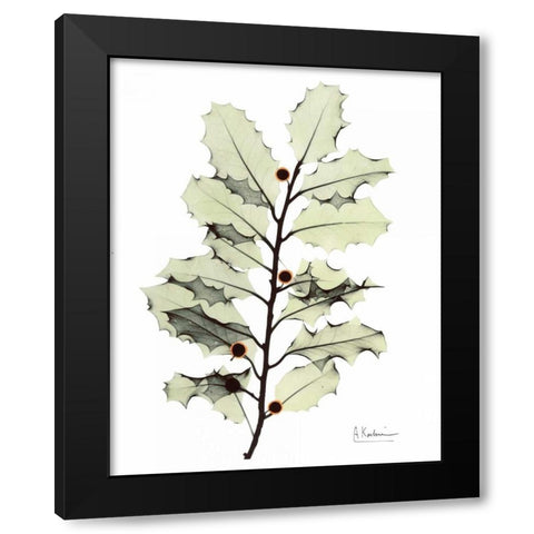 Holly in Green Black Modern Wood Framed Art Print with Double Matting by Koetsier, Albert