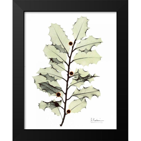 Holly in Green Black Modern Wood Framed Art Print by Koetsier, Albert