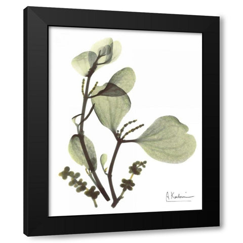 Mistle Toe in Green Black Modern Wood Framed Art Print with Double Matting by Koetsier, Albert