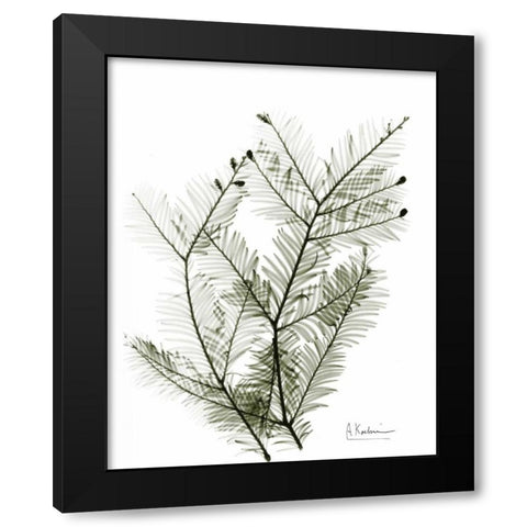 Evergreen in Green Black Modern Wood Framed Art Print with Double Matting by Koetsier, Albert