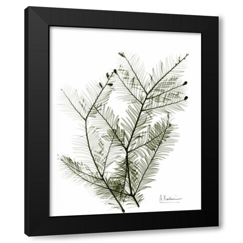 Evergreen in Green Black Modern Wood Framed Art Print by Koetsier, Albert