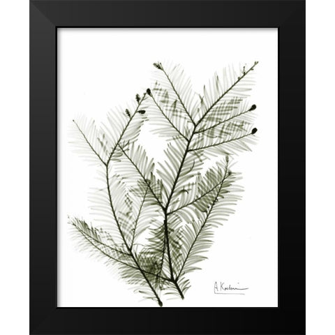 Evergreen in Green Black Modern Wood Framed Art Print by Koetsier, Albert