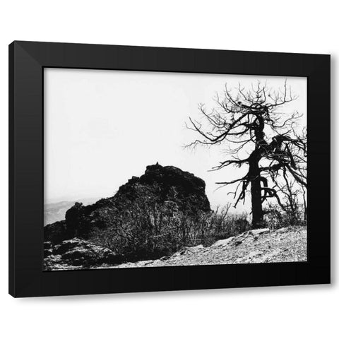 Bodi Kid Lookout Black Modern Wood Framed Art Print with Double Matting by Koetsier, Albert