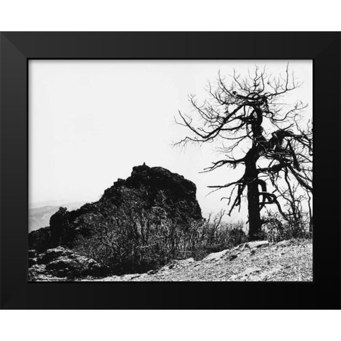 Bodi Kid Lookout Black Modern Wood Framed Art Print by Koetsier, Albert