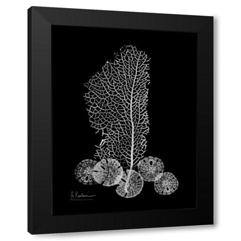 Sea Fan and Sand Dollar  on Black Black Modern Wood Framed Art Print by Koetsier, Albert