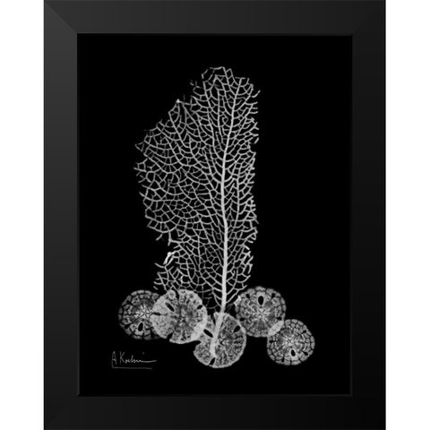 Sea Fan and Sand Dollar  on Black Black Modern Wood Framed Art Print by Koetsier, Albert