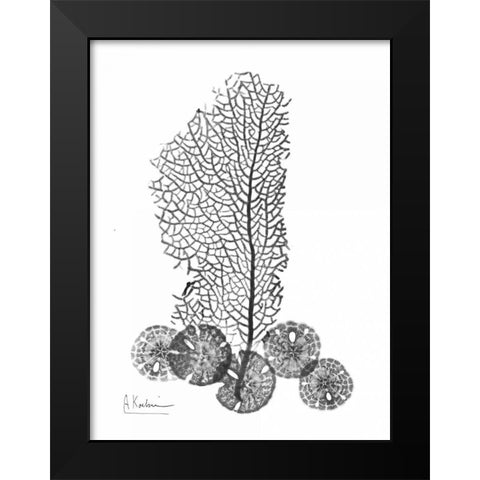 Sea Fan and Sand Dollar  in BandW Black Modern Wood Framed Art Print by Koetsier, Albert