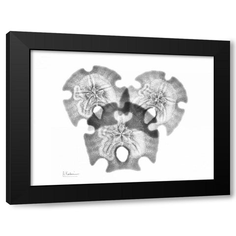 Triple Stars Black Modern Wood Framed Art Print by Koetsier, Albert