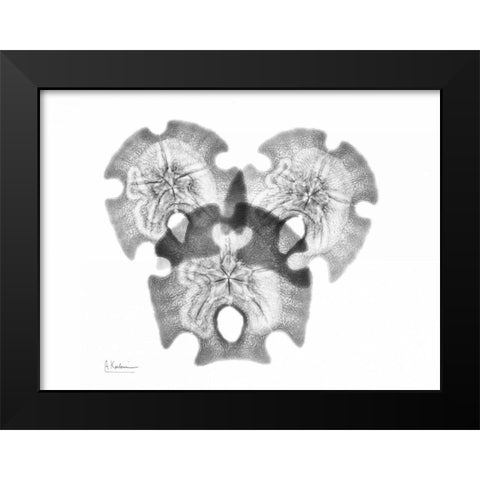 Triple Stars Black Modern Wood Framed Art Print by Koetsier, Albert