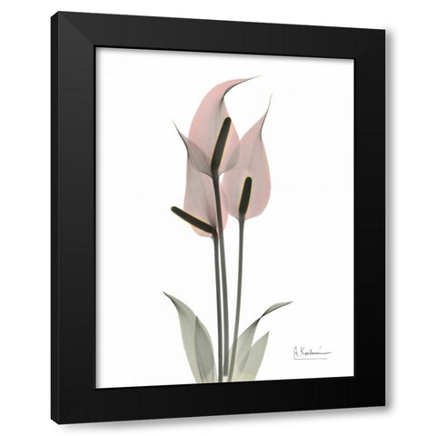Pink Flamingo Black Modern Wood Framed Art Print by Koetsier, Albert