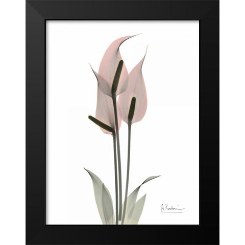 Pink Flamingo Black Modern Wood Framed Art Print by Koetsier, Albert