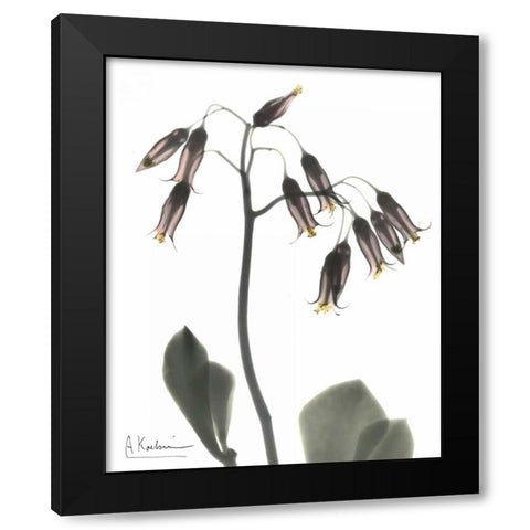 Kalan Chloe in Color Black Modern Wood Framed Art Print with Double Matting by Koetsier, Albert