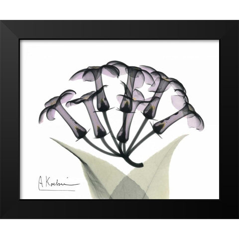 Stephanotis Bunch in Color Black Modern Wood Framed Art Print by Koetsier, Albert