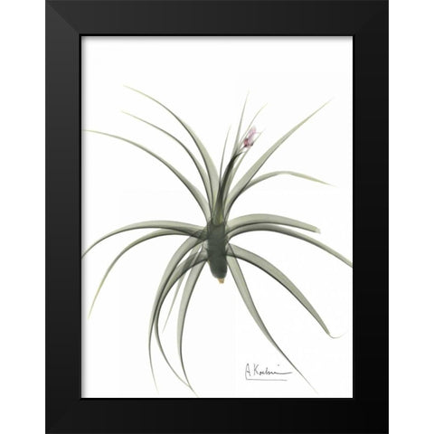 Zero Entropy Black Modern Wood Framed Art Print by Koetsier, Albert