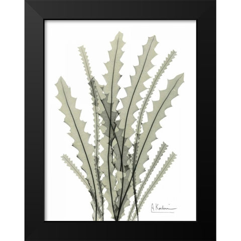 Banksia in Green Black Modern Wood Framed Art Print by Koetsier, Albert