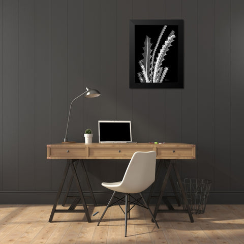 Banksia SE46 Black Modern Wood Framed Art Print by Koetsier, Albert