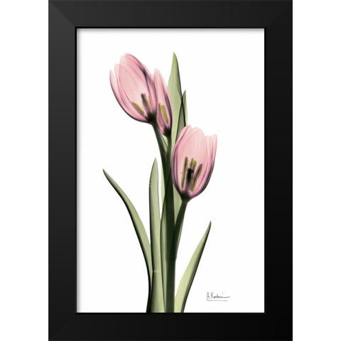 Annie Tulip Black Modern Wood Framed Art Print by Koetsier, Albert