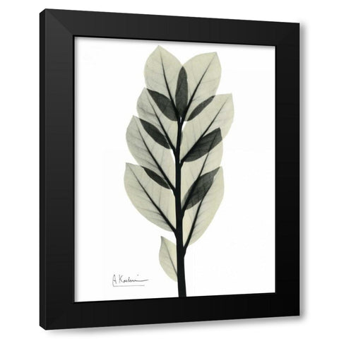 Zan Zibar Gem Black Modern Wood Framed Art Print with Double Matting by Koetsier, Albert