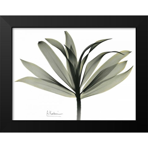 Sons of India Dracaena Black Modern Wood Framed Art Print by Koetsier, Albert