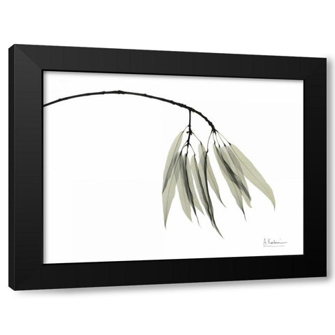 Bottle Tree Black Modern Wood Framed Art Print with Double Matting by Koetsier, Albert