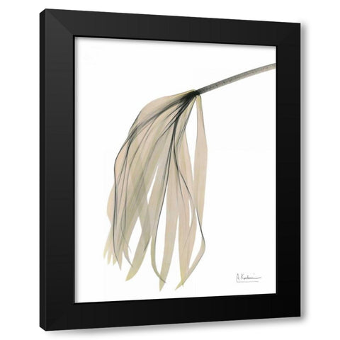 Papyrus in Pink Black Modern Wood Framed Art Print with Double Matting by Koetsier, Albert