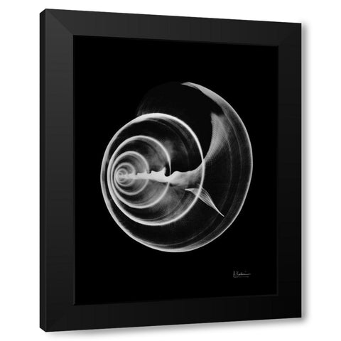 Seas Alive on Black Black Modern Wood Framed Art Print with Double Matting by Koetsier, Albert