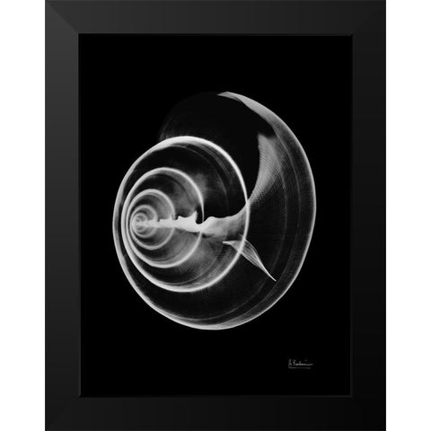 Seas Alive on Black Black Modern Wood Framed Art Print by Koetsier, Albert