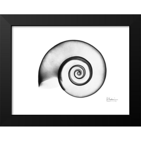 Ramshorn Snail Shell Black Modern Wood Framed Art Print by Koetsier, Albert