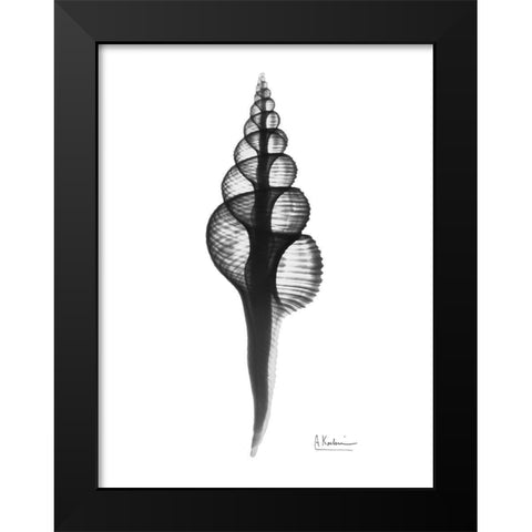 Fusinus Colus Black Modern Wood Framed Art Print by Koetsier, Albert