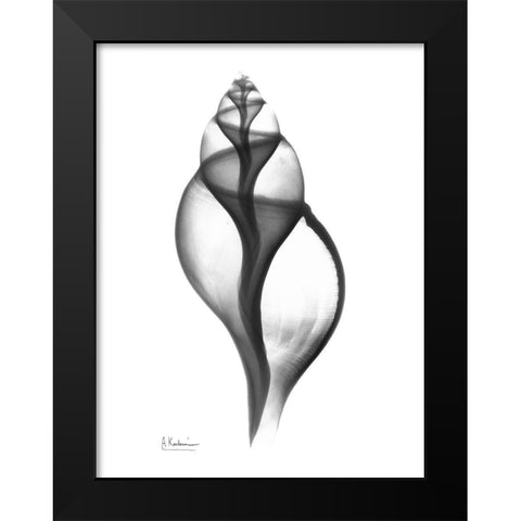 Tulip Shell Black Modern Wood Framed Art Print by Koetsier, Albert