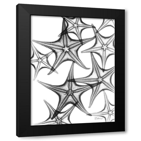 Starfish Black Modern Wood Framed Art Print by Koetsier, Albert