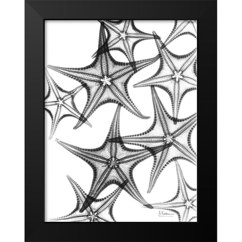 Starfish Black Modern Wood Framed Art Print by Koetsier, Albert