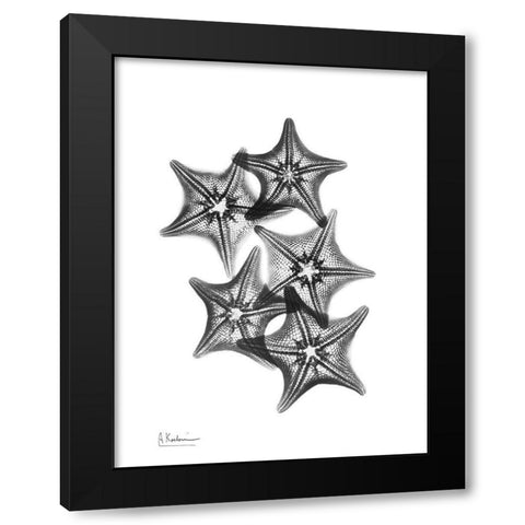 Starfish Black Modern Wood Framed Art Print by Koetsier, Albert