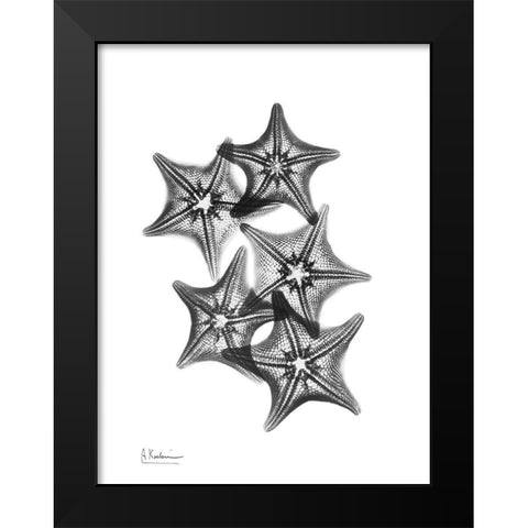 Starfish Black Modern Wood Framed Art Print by Koetsier, Albert