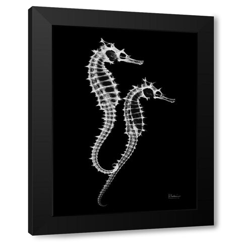 Seahorse Twins on Black Black Modern Wood Framed Art Print by Koetsier, Albert