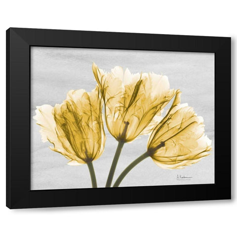 Sunny Trio Tulips Black Modern Wood Framed Art Print with Double Matting by Koetsier, Albert