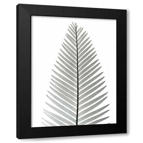 Tropical Fern 2 Black Modern Wood Framed Art Print by Koetsier, Albert