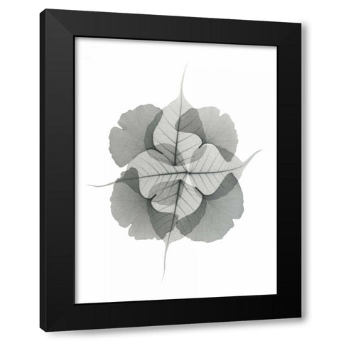 Kaleidoscope Sinko Black Modern Wood Framed Art Print with Double Matting by Koetsier, Albert