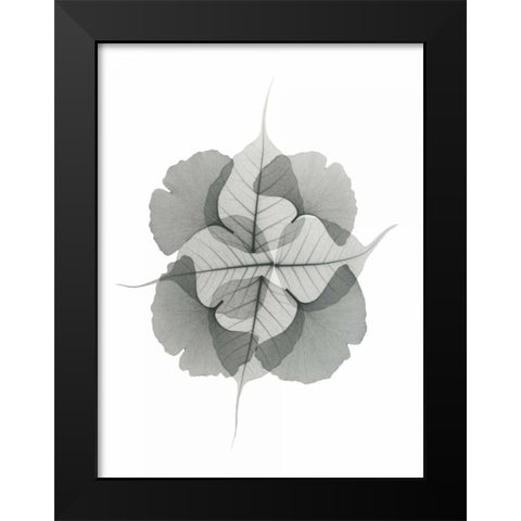 Kaleidoscope Sinko Black Modern Wood Framed Art Print by Koetsier, Albert