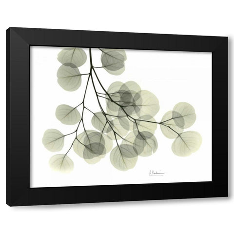 Eucalyptus Sweep Black Modern Wood Framed Art Print with Double Matting by Koetsier, Albert