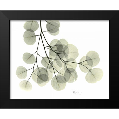 Eucalyptus Sweep Black Modern Wood Framed Art Print by Koetsier, Albert