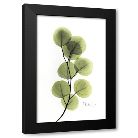 Eucalyptus Black Modern Wood Framed Art Print with Double Matting by Koetsier, Albert