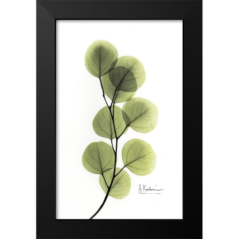 Eucalyptus Black Modern Wood Framed Art Print by Koetsier, Albert