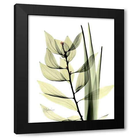 Leaf Composition Black Modern Wood Framed Art Print with Double Matting by Koetsier, Albert