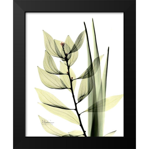 Leaf Composition Black Modern Wood Framed Art Print by Koetsier, Albert