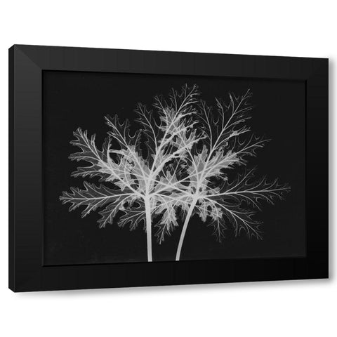 Leaves Seq Black Modern Wood Framed Art Print with Double Matting by Koetsier, Albert